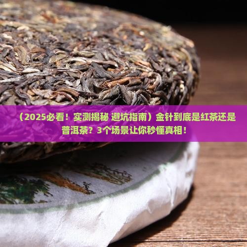 金针是红茶还是普洱茶
