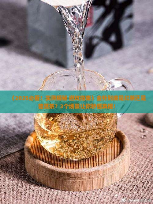 金针是红茶还是普洱茶
