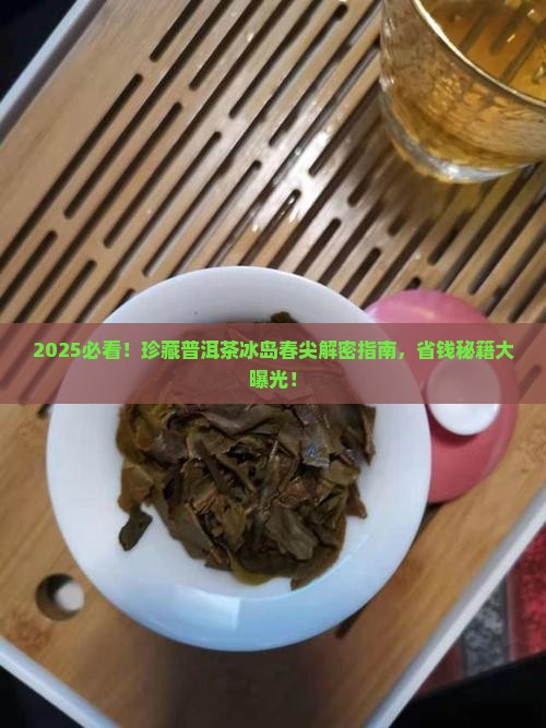 珍藏普洱茶冰岛春尖