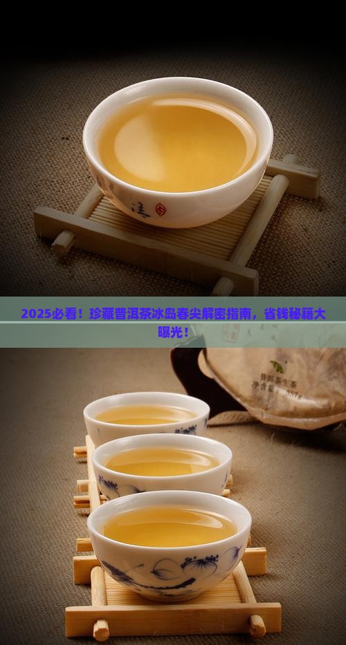 珍藏普洱茶冰岛春尖