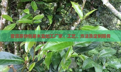 普洱茶饼包装木盒加工
