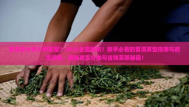 普洱茶分多少种茶型的