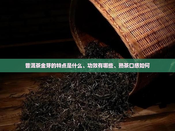 普洱茶金芽的特点