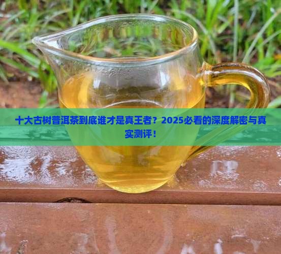 十大古树普洱茶排行
