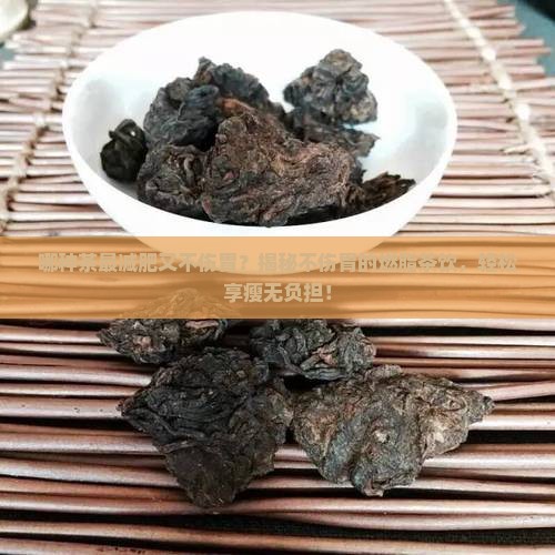 哪种茶最减肥又不伤胃