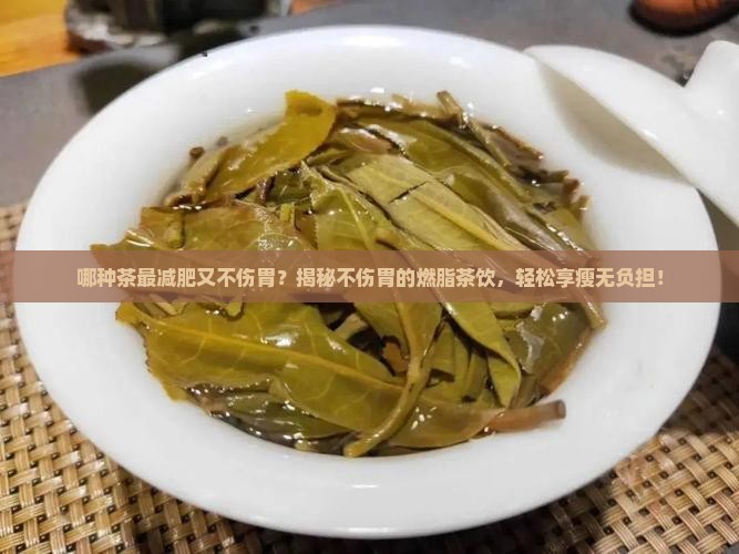 哪种茶最减肥又不伤胃