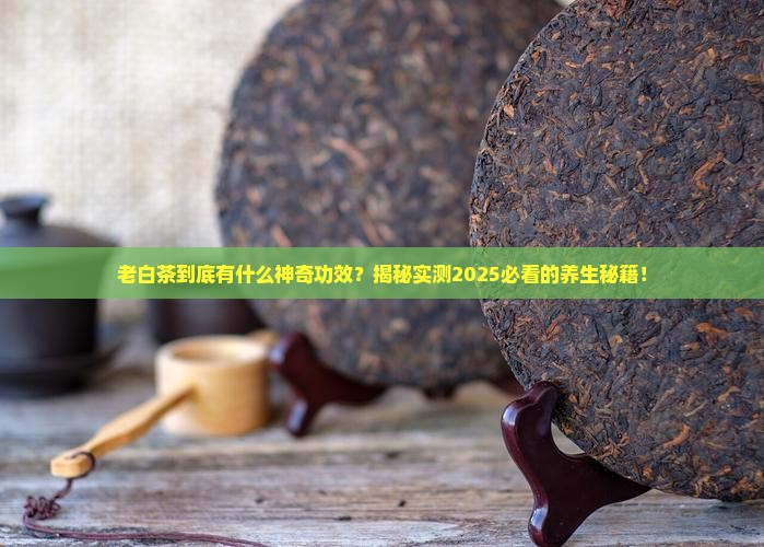 老白茶的功效与作用百度百科