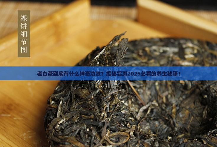 老白茶的功效与作用百度百科