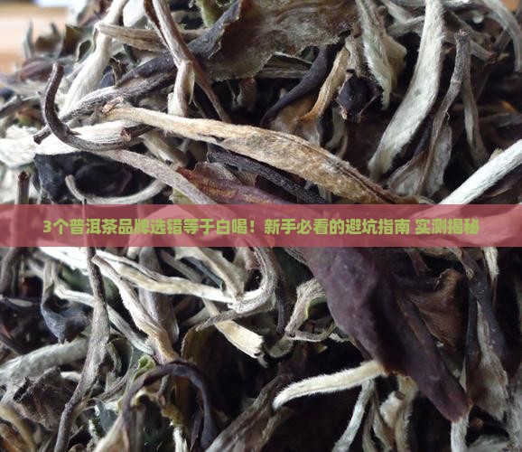 普洱茶选什么品牌的好