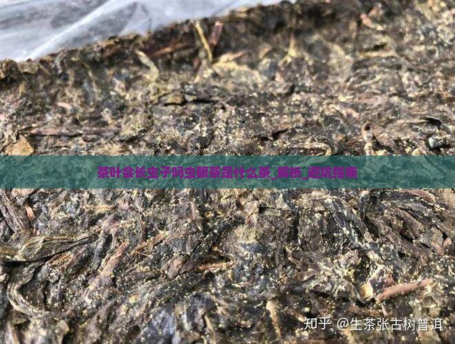 茶叶会长虫子吗虫眼茶是什么茶