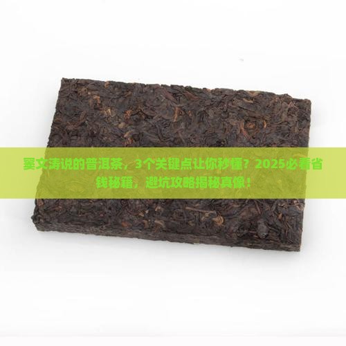 窦文涛说的普洱茶