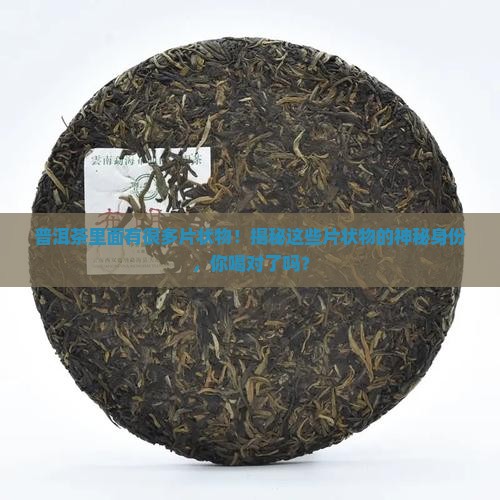普洱茶里面有很多片状物