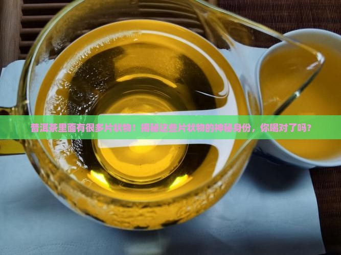 普洱茶里面有很多片状物
