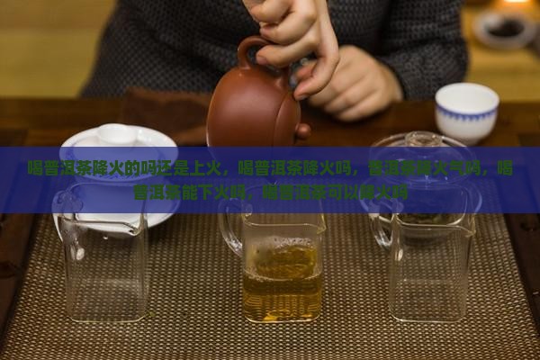 喝普洱茶降火的吗