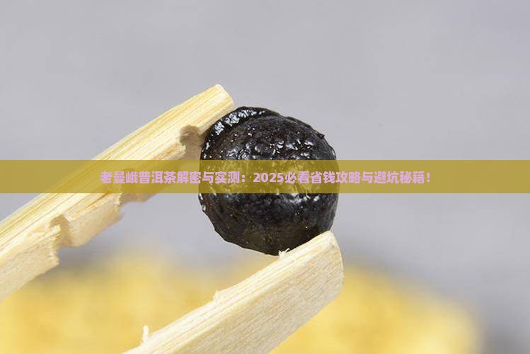 老曼峨普洱茶的话题