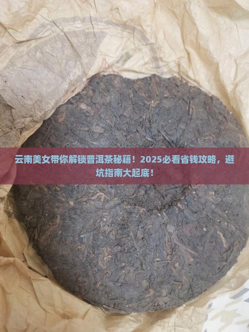 云南大理美女说普洱茶