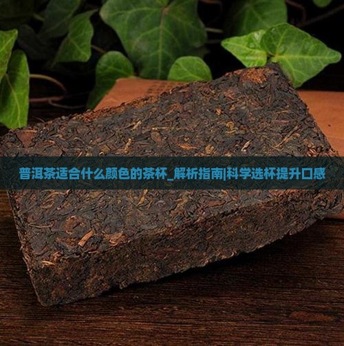 普洱茶适合什么颜色的茶杯