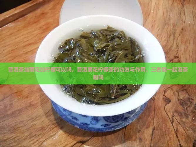 普洱茶加菊花加柠檬可以吗