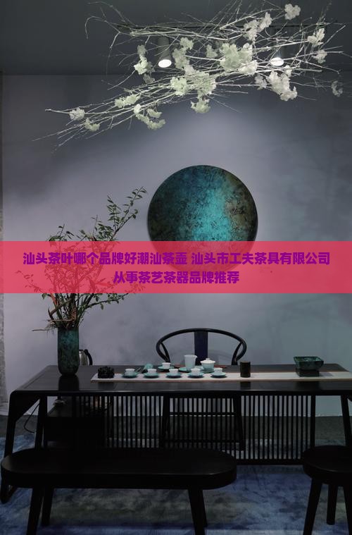 汕头茶叶哪个品牌好潮汕茶壶
