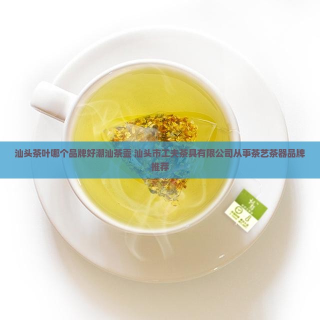 汕头茶叶哪个品牌好潮汕茶壶