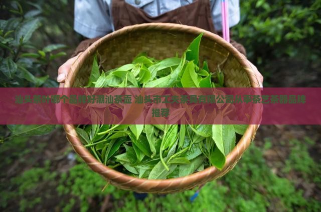 汕头茶叶哪个品牌好潮汕茶壶