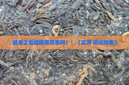 健身之后能喝普洱茶吗