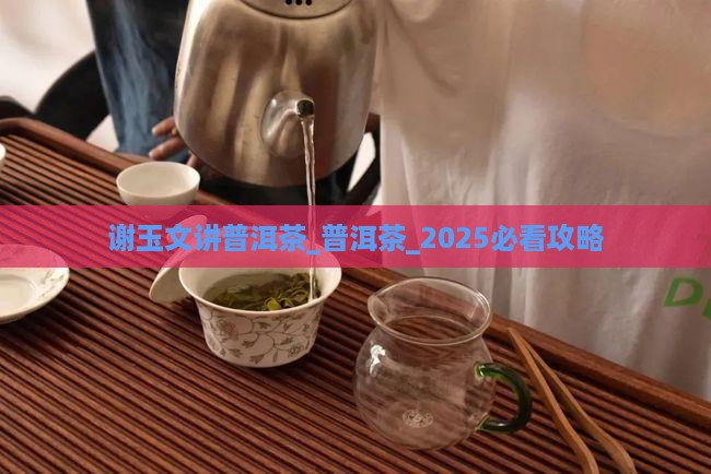 谢玉文讲普洱茶