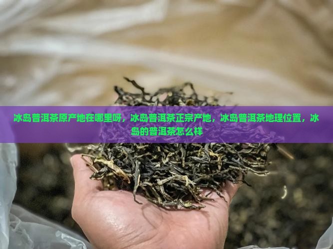 冰岛普洱茶原产地在哪里呀