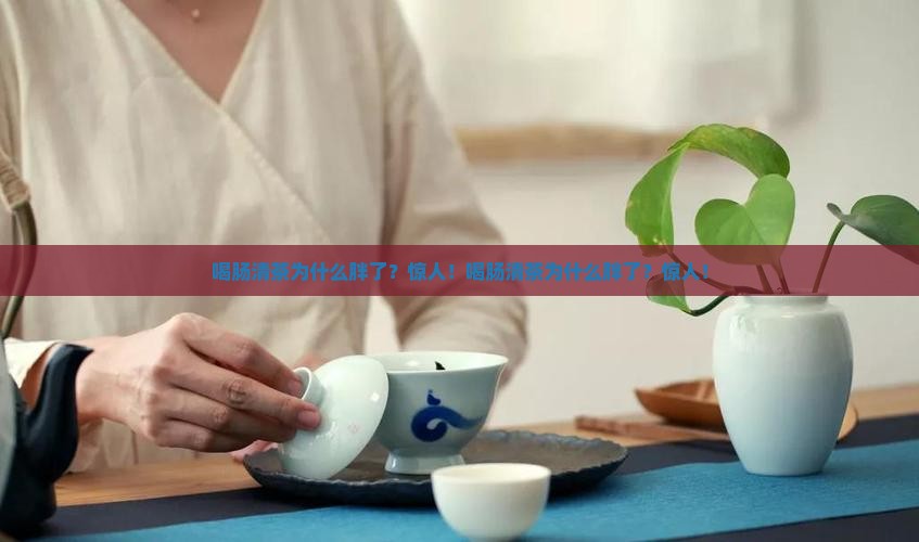 喝肠清茶为什么胖了