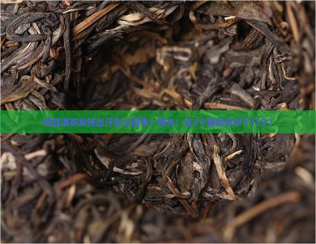 喝普洱茶发热出汗怎么回事