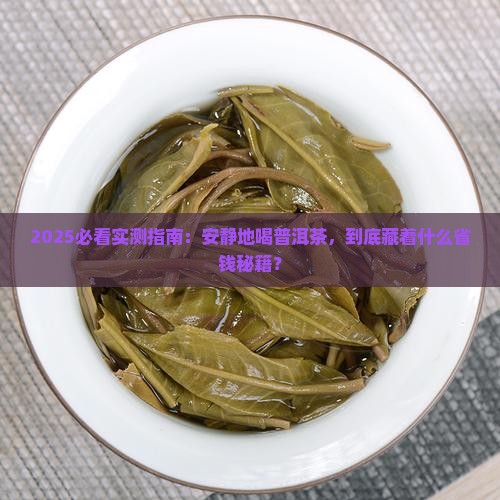 安静地喝普洱茶好吗