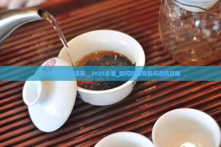 云鹰号古树普洱茶