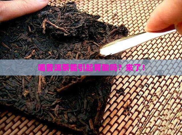 喝普洱茶能引起胃酸吗