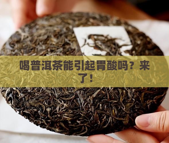 喝普洱茶能引起胃酸吗