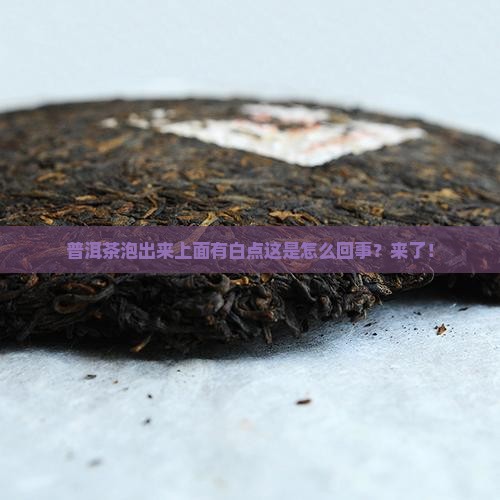 普洱茶泡出来上面有白点