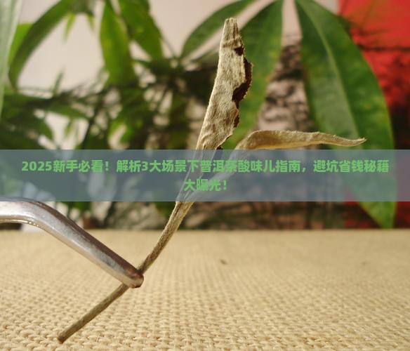如何理解普洱茶的酸味儿