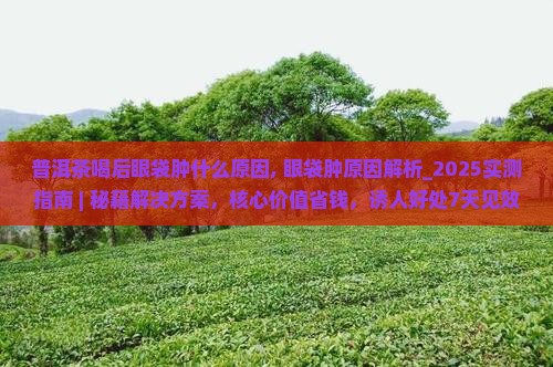 普洱茶喝后眼袋肿什么原因