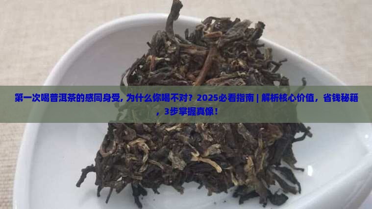 第一次喝普洱茶的感同身受