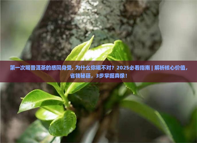 第一次喝普洱茶的感同身受