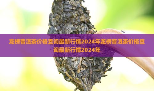 龙榜普洱茶价格查询