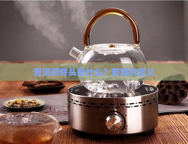 普洱茶芽头的定义