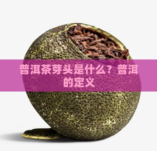 普洱茶芽头的定义