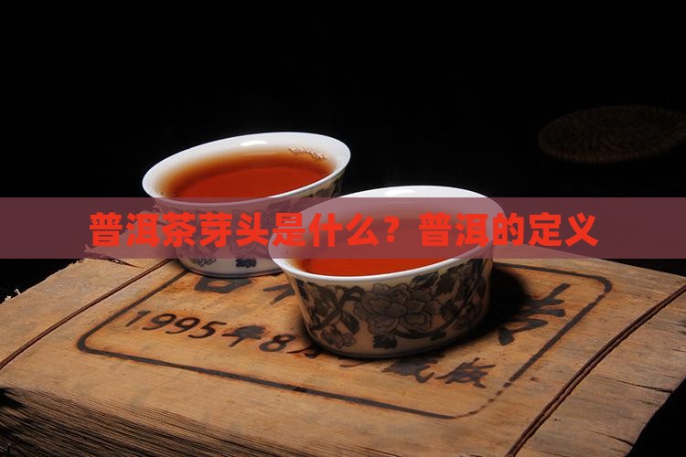 普洱茶芽头的定义