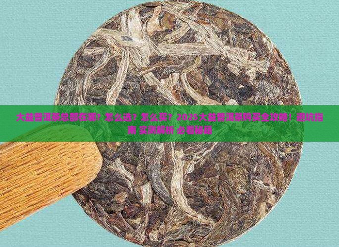 大益普洱茶总部