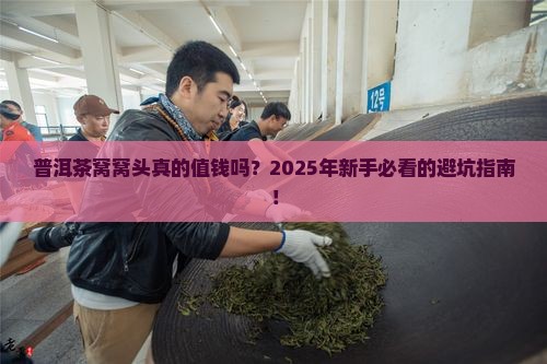 普洱茶窝窝头价格