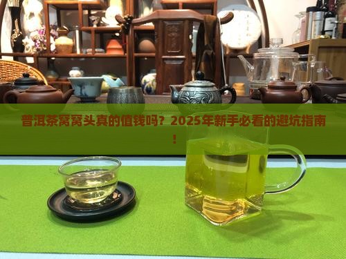 普洱茶窝窝头价格