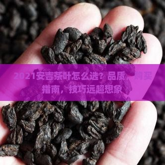 2021安吉茶叶