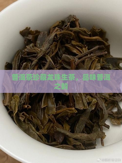 普洱茶珍藏龙珠生茶 普洱茶珍藏龙珠生茶