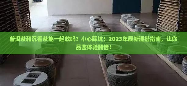普洱茶和沉香茶能一起放吗