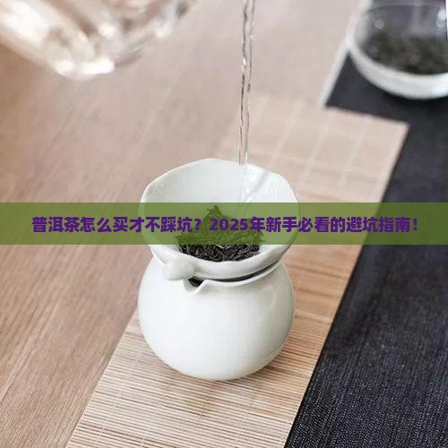 普洱茶怎么购买纳